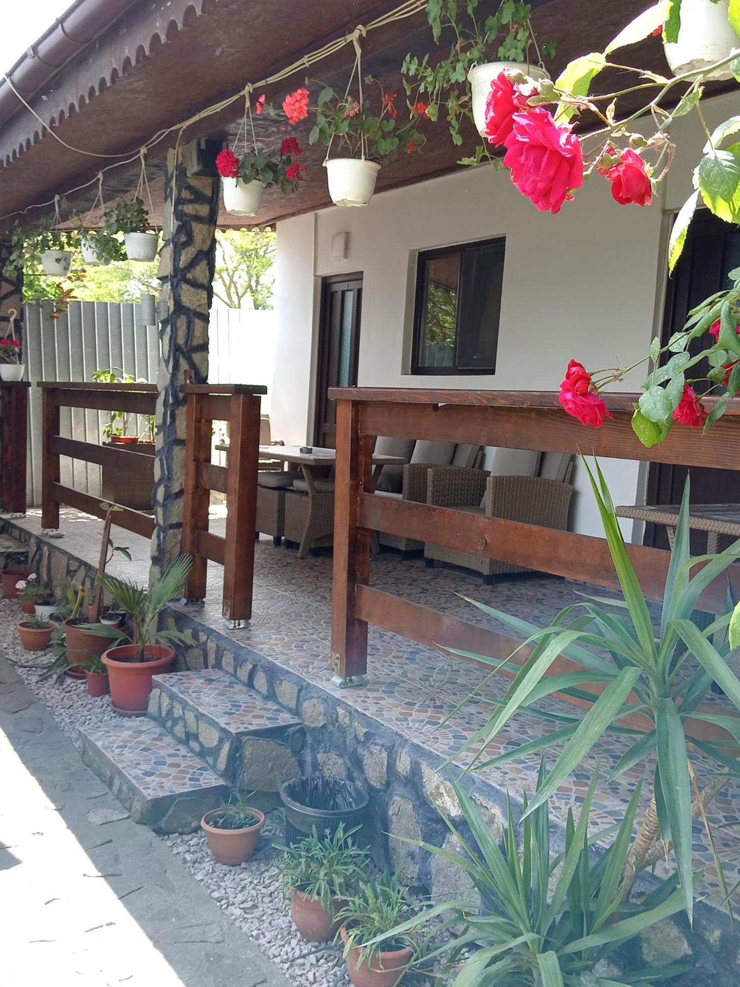 Casa Chitu Guest House Murighiol Exterior photo